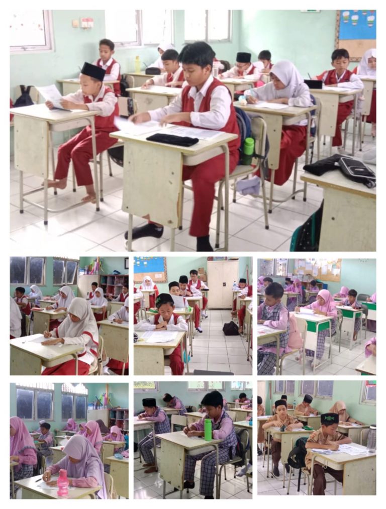 WhatsApp Image 2024-03-16 at 11.27